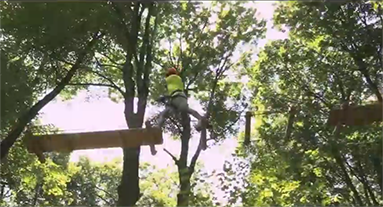 people tree topping